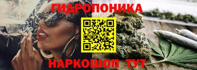 трава Кунгур